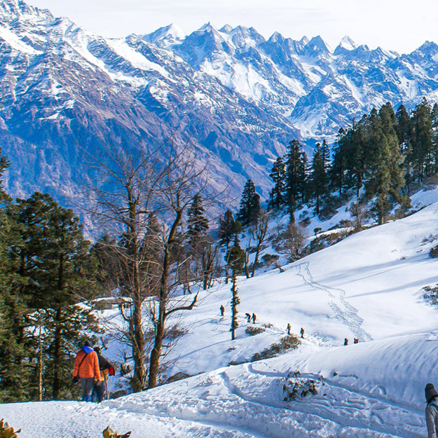 Shimla Group Tour